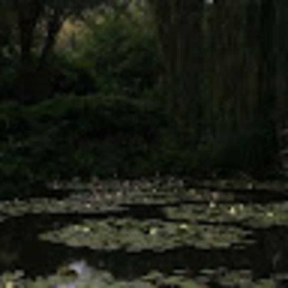 Meet your Posher, Zirionie